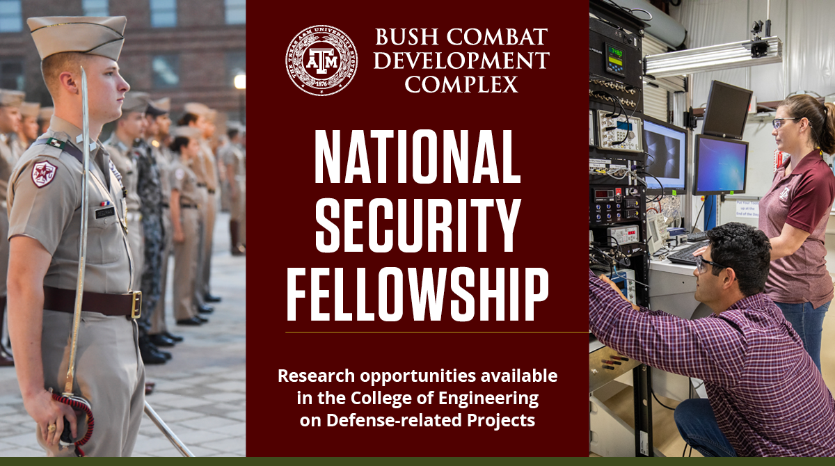 National Security Fellowship