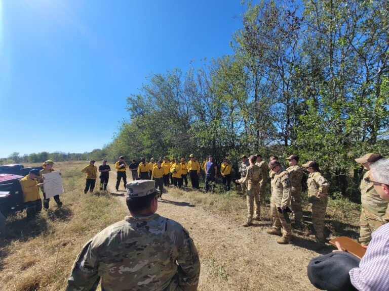 Roughly 30 people standing in a field, some are in military camouflage uniforms, others in firefighting gear.